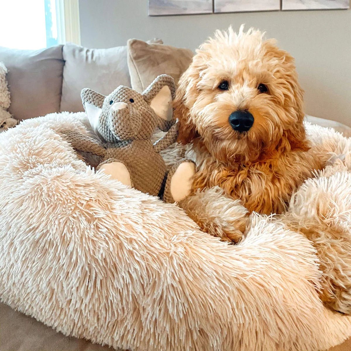 Anti Anxiety Calming Bed - Petopia
