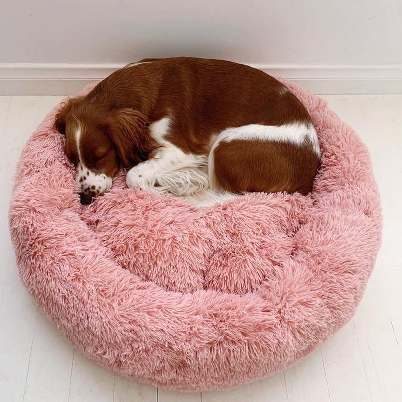Anti Anxiety Calming Bed - Petopia