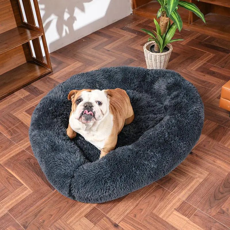 Anti Anxiety Calming Bed - Petopia