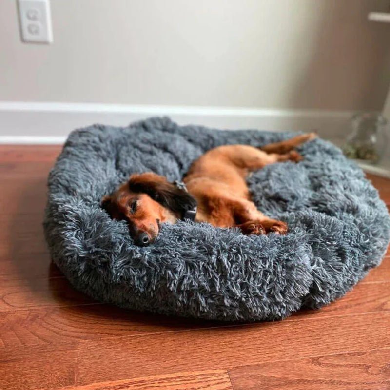 Anti Anxiety Calming Dog Bed - Petopia