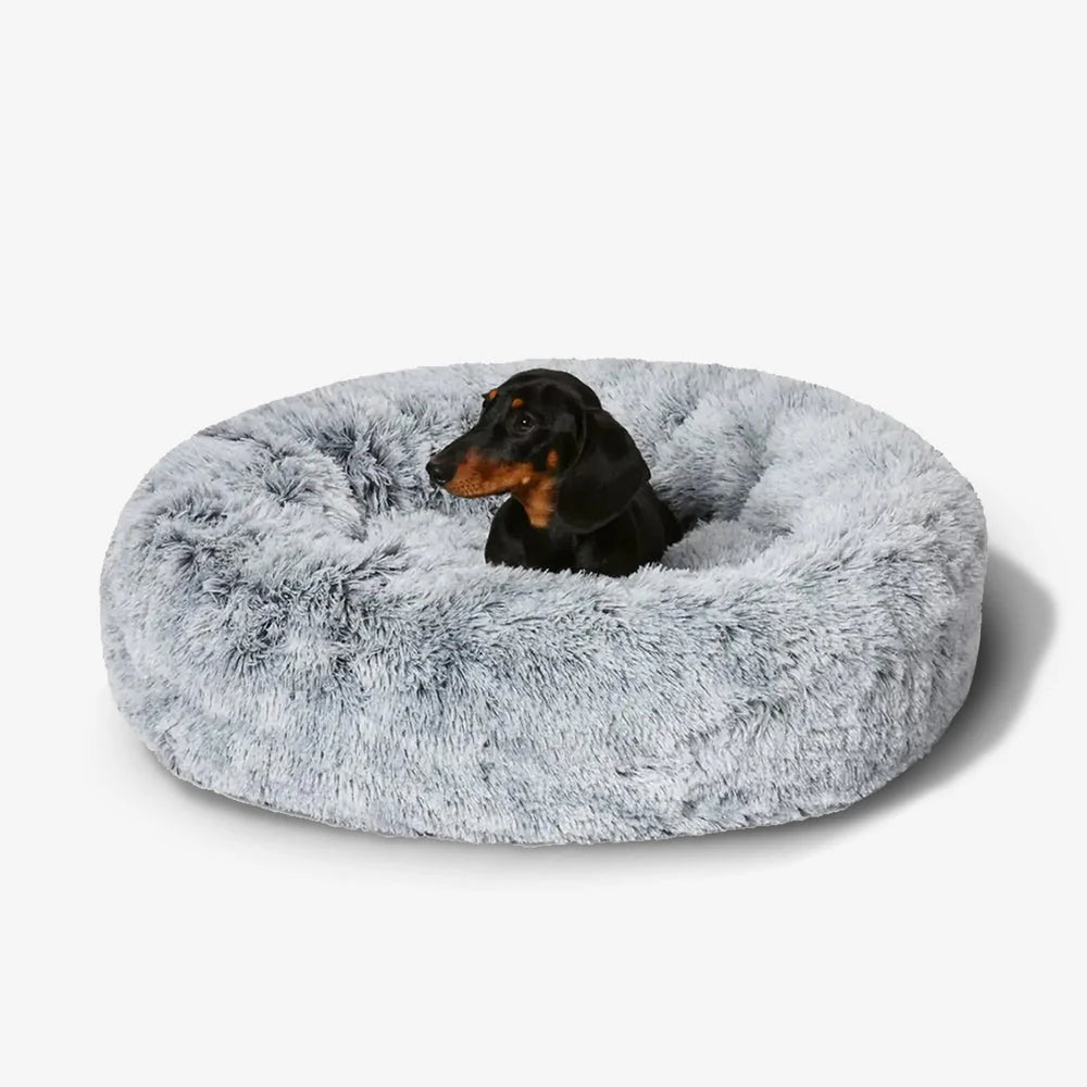 Anti Anxiety Calming Dog Bed - Petopia