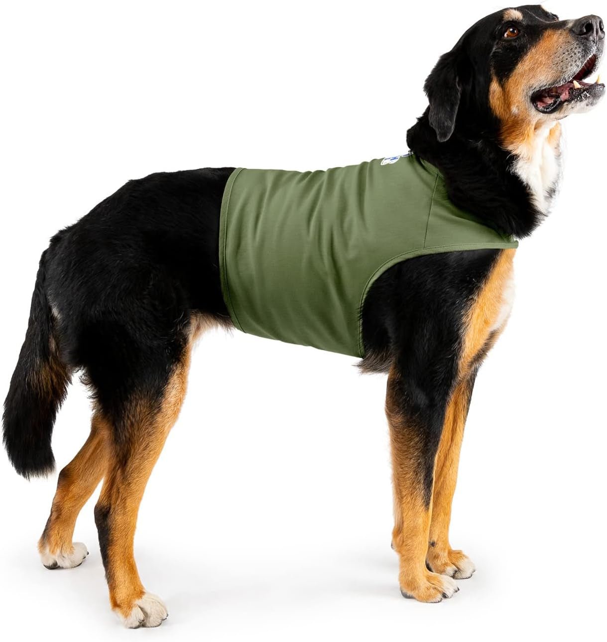 Dog Anxiety Calming Wrap, Large, Cypress - Petopia