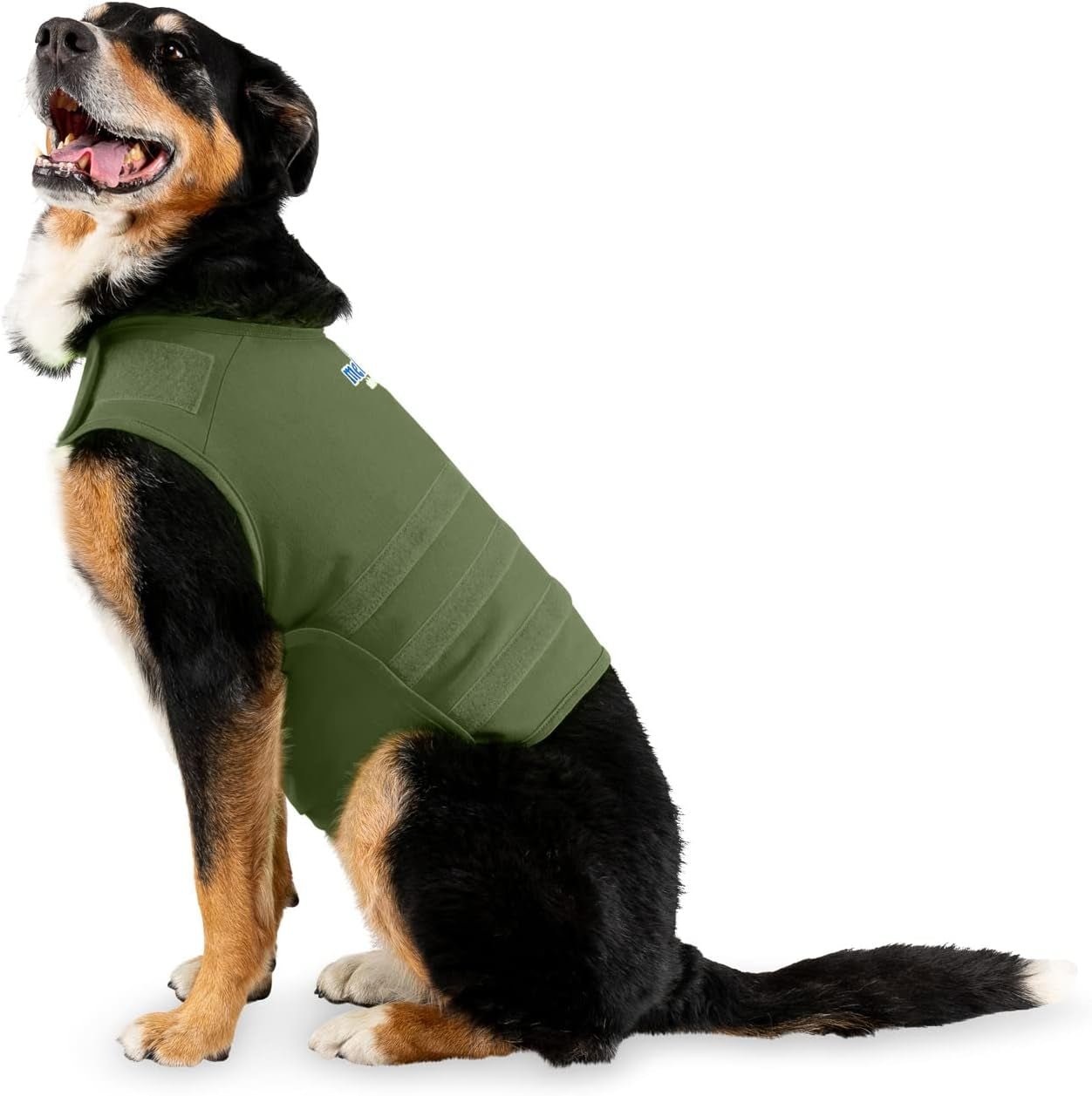 Dog Anxiety Calming Wrap, Large, Cypress - Petopia