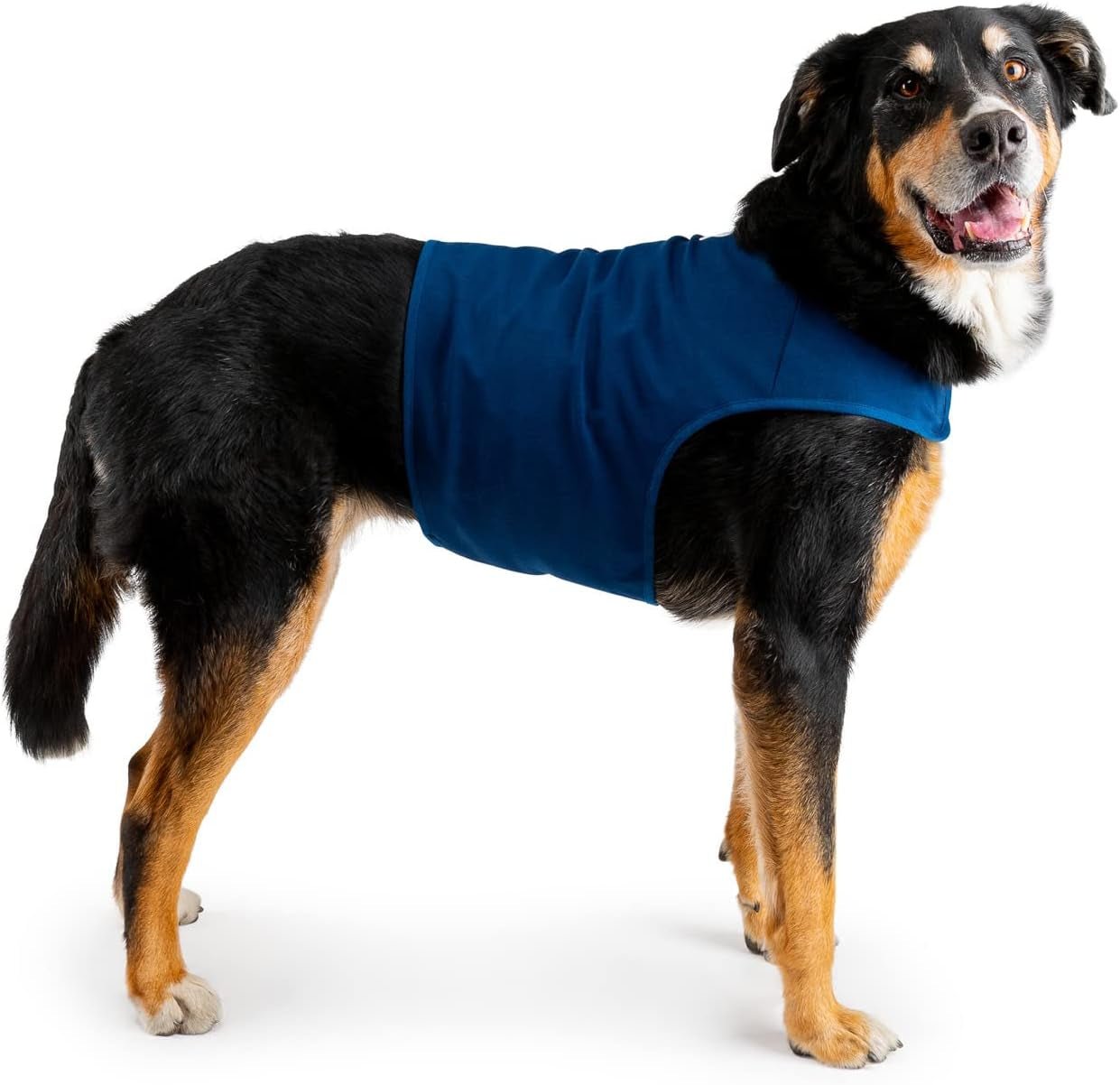 Dog Anxiety Wrap, X - Large - Petopia