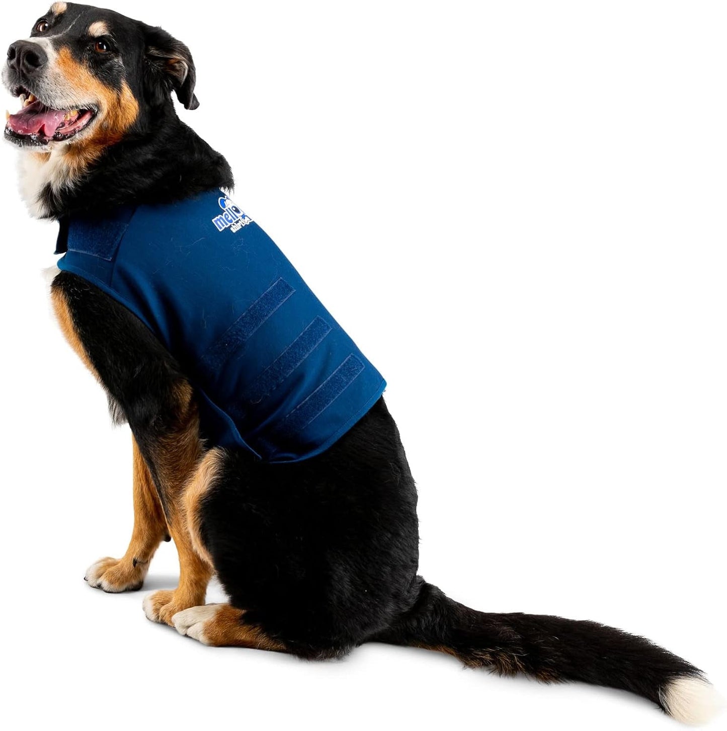 Dog Anxiety Wrap, X - Large - Petopia