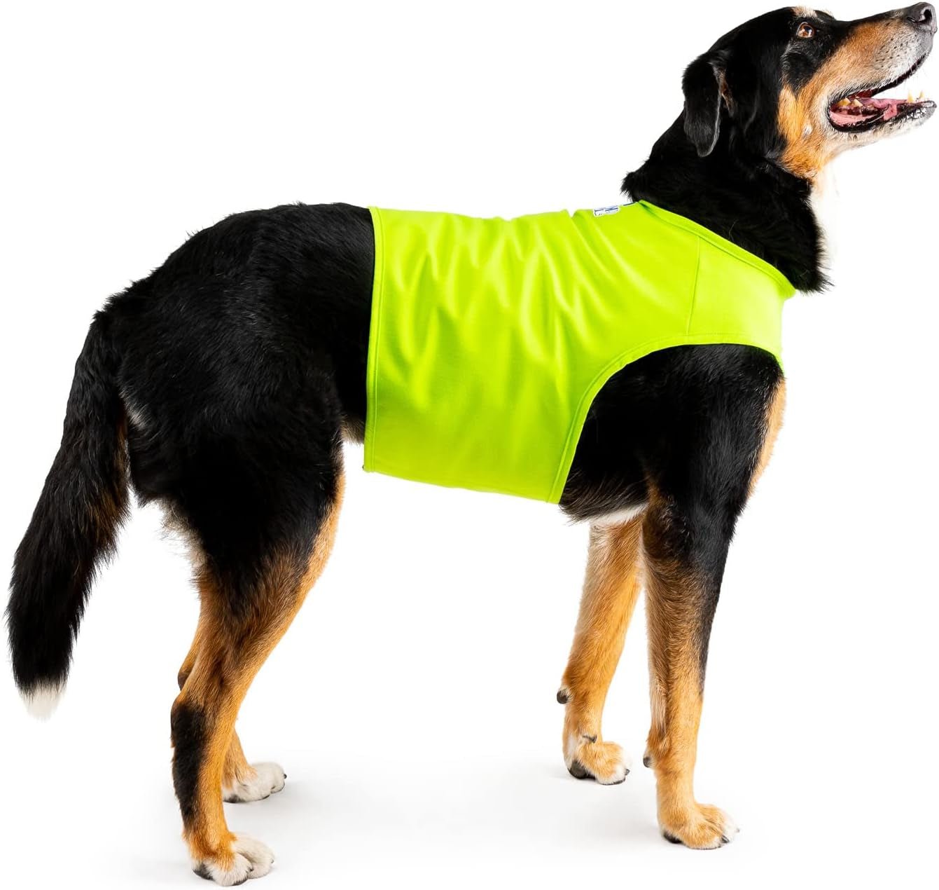 Mellow Shirt Calming Vest for Dogs – Natural Anxiety Relief for Thunder, Travel & Separation - Petopia