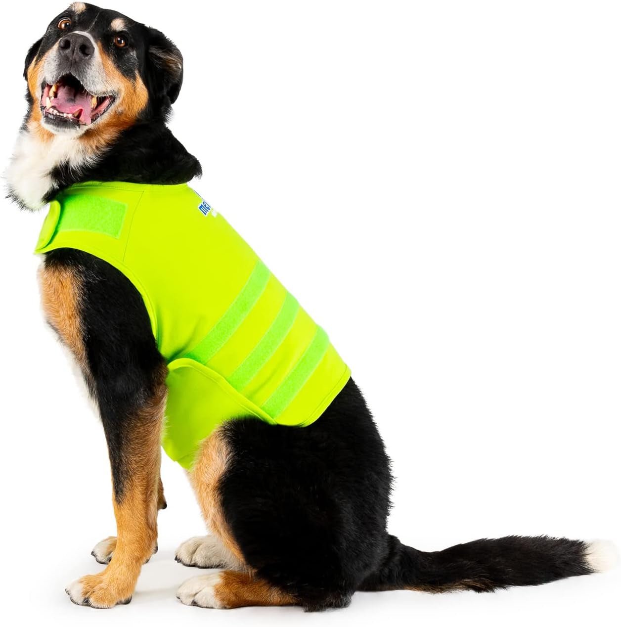 Mellow Shirt Calming Vest for Dogs – Natural Anxiety Relief for Thunder, Travel & Separation - Petopia