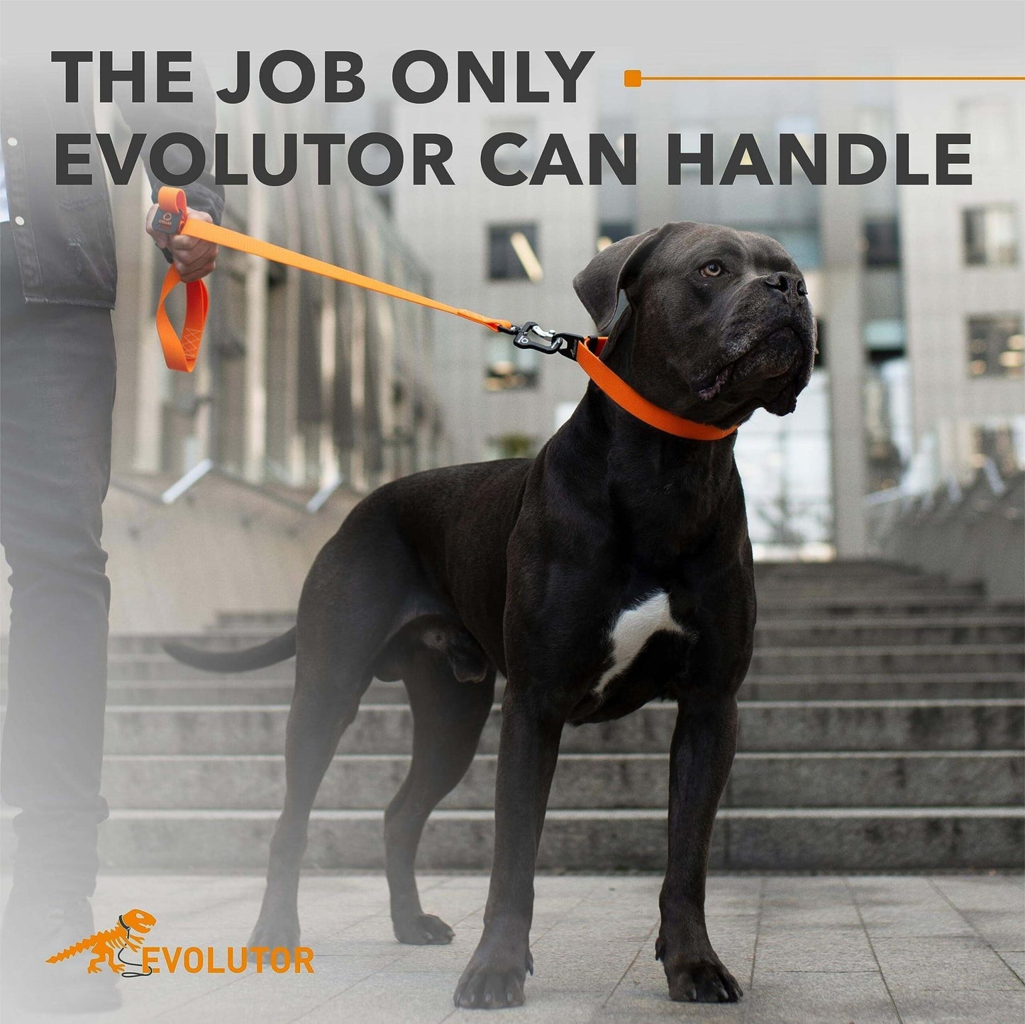 Orange Evolutor Extra Heavy Duty Dog Leash 10 Ft Durable Leash for Large Dogs - Petopia