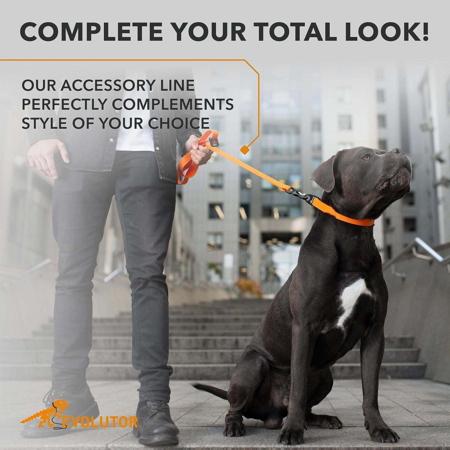 Orange Evolutor Extra Heavy Duty Dog Leash 10 Ft Durable Leash for Large Dogs - Petopia