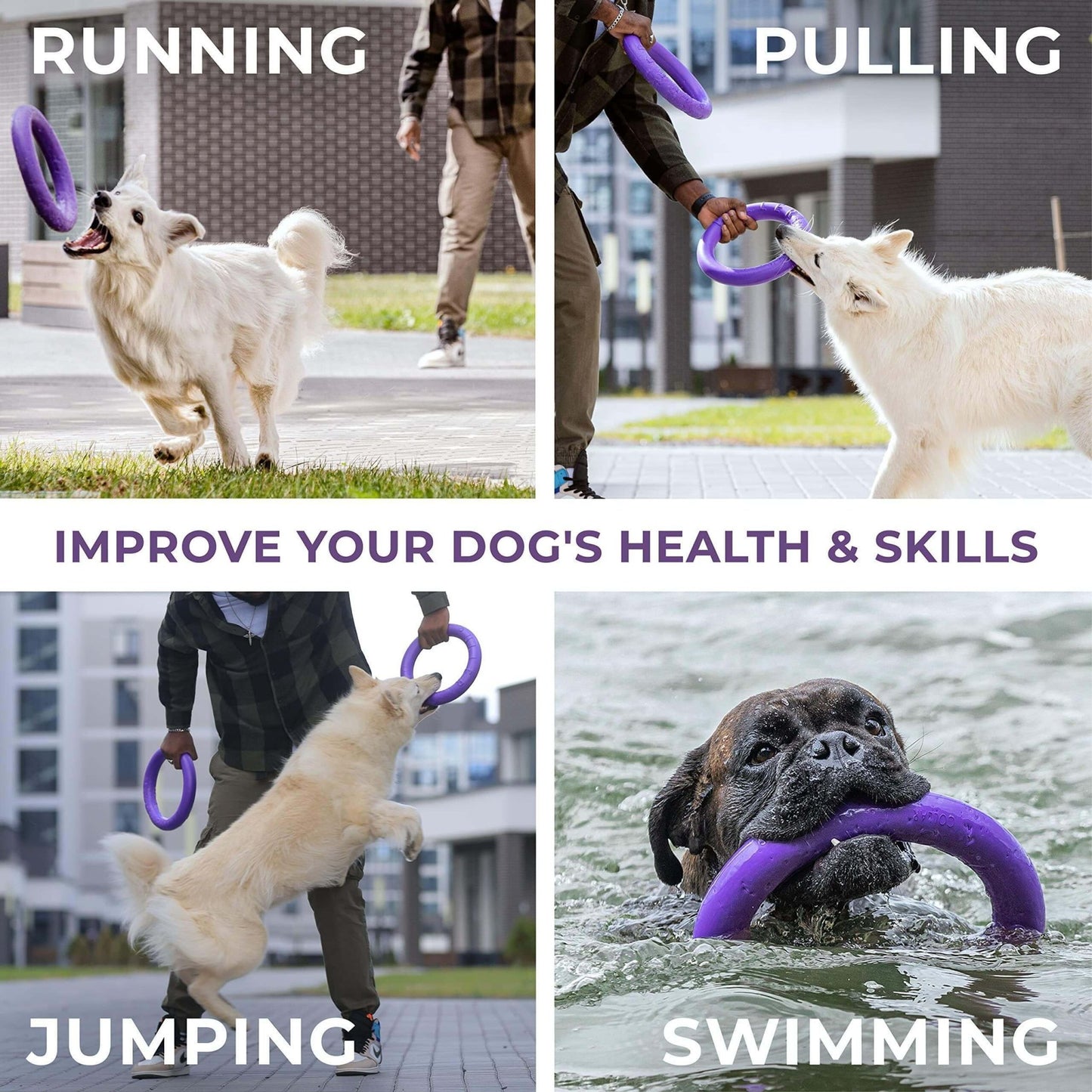 Puller Outdoor Dog Ring Toys Dog Fetch for Large Dogs Standard Size 2 Rings - Petopia
