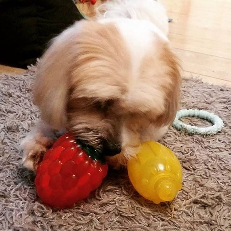Rosewood Bite - Resistant Dog Toy Ball for All Sizes - Petopia