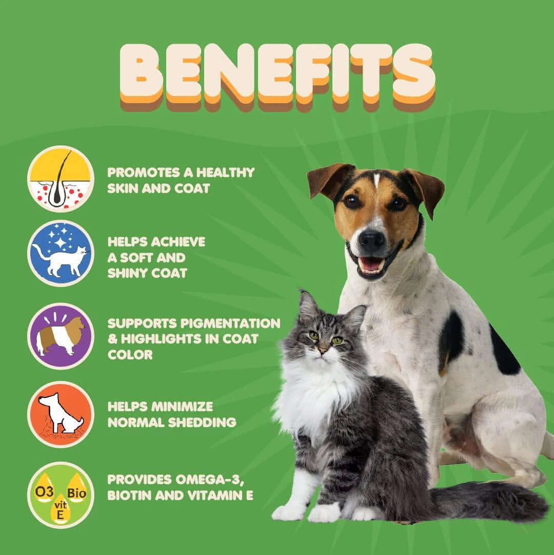 Skin and Coat Supplement with Fish Oil for Dogs Cats Dog Itch Relief With - Petopia