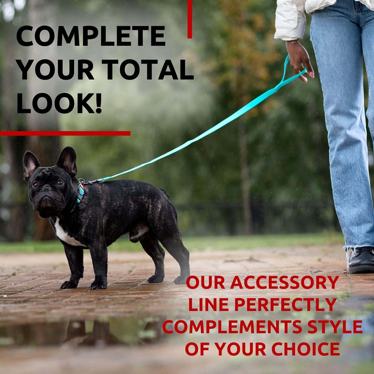 Waterproof Dog Leash 6 Ft anti Slip Dog Leash for Medium Small Dogs Glow Dark - Petopia