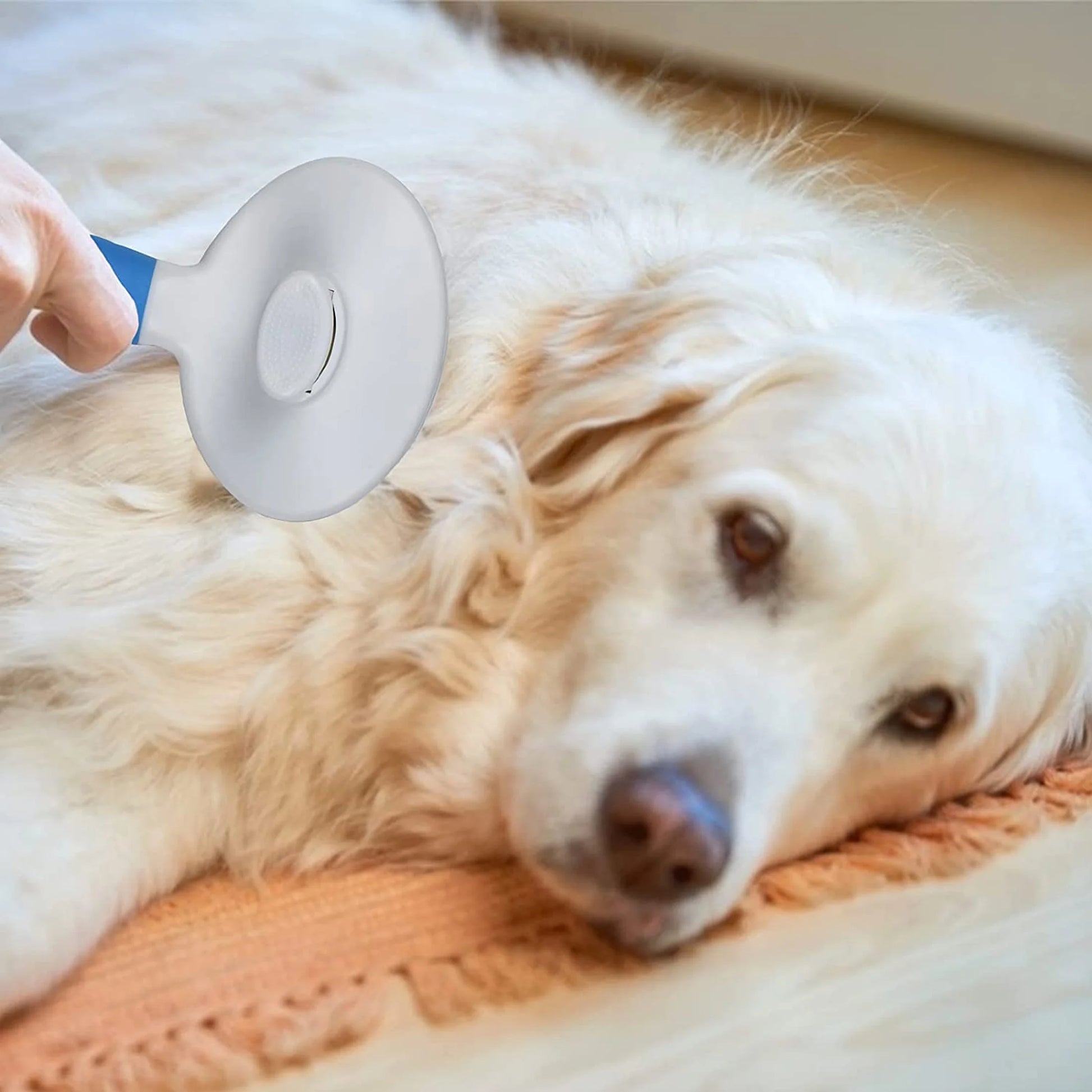 Pawsitive Touch Grooming Brush - Petopia