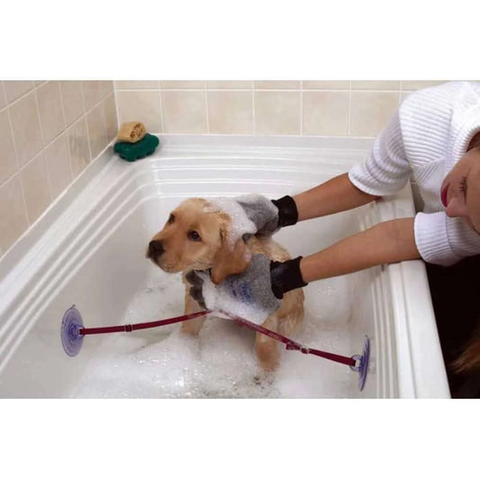 Ezybathe Bathing Kit for Puppies, Small Dogs & Cats - Petopia