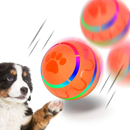 Interactive Dog Toy Ball with LED Lights - Rechargeable, Motion - Activated Fun for Pets - Petopia