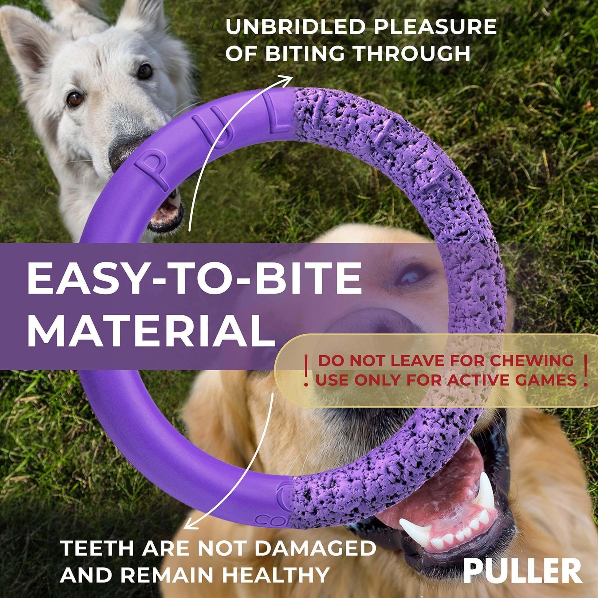 Puller Outdoor Dog Ring Toys Dog Fetch for Large Dogs Standard Size 2 Rings - Petopia