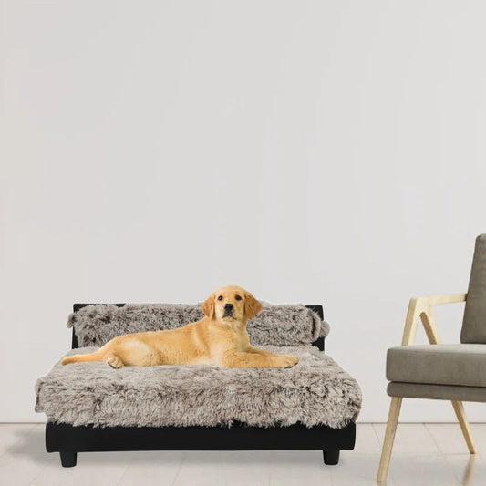 Soho Orthopedic Faux Leather Pet Bed - Petopia